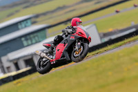 PJ-Motorsport-2019;anglesey-no-limits-trackday;anglesey-photographs;anglesey-trackday-photographs;enduro-digital-images;event-digital-images;eventdigitalimages;no-limits-trackdays;peter-wileman-photography;racing-digital-images;trac-mon;trackday-digital-images;trackday-photos;ty-croes